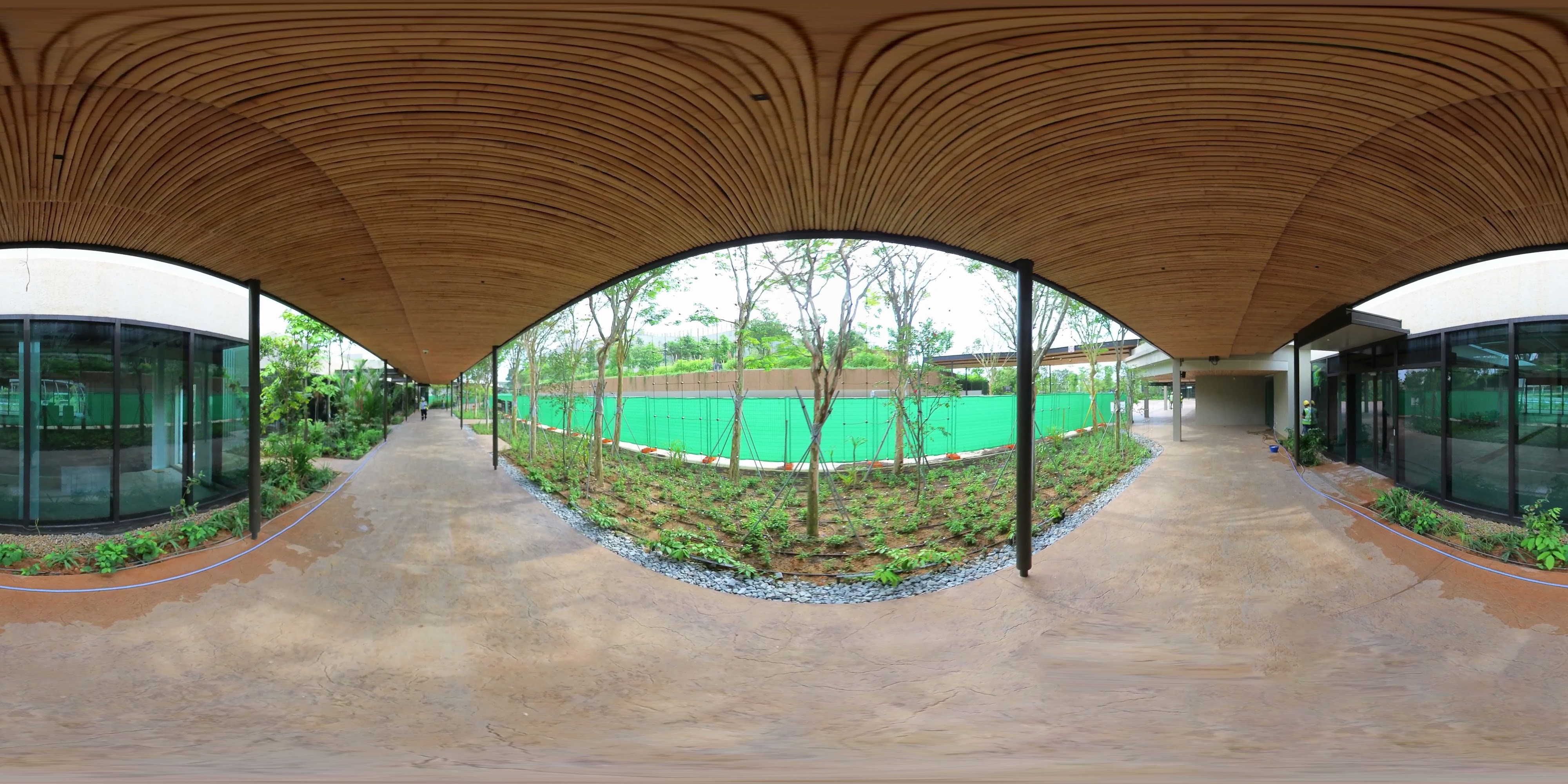 Natural Walkway Through Rainforest