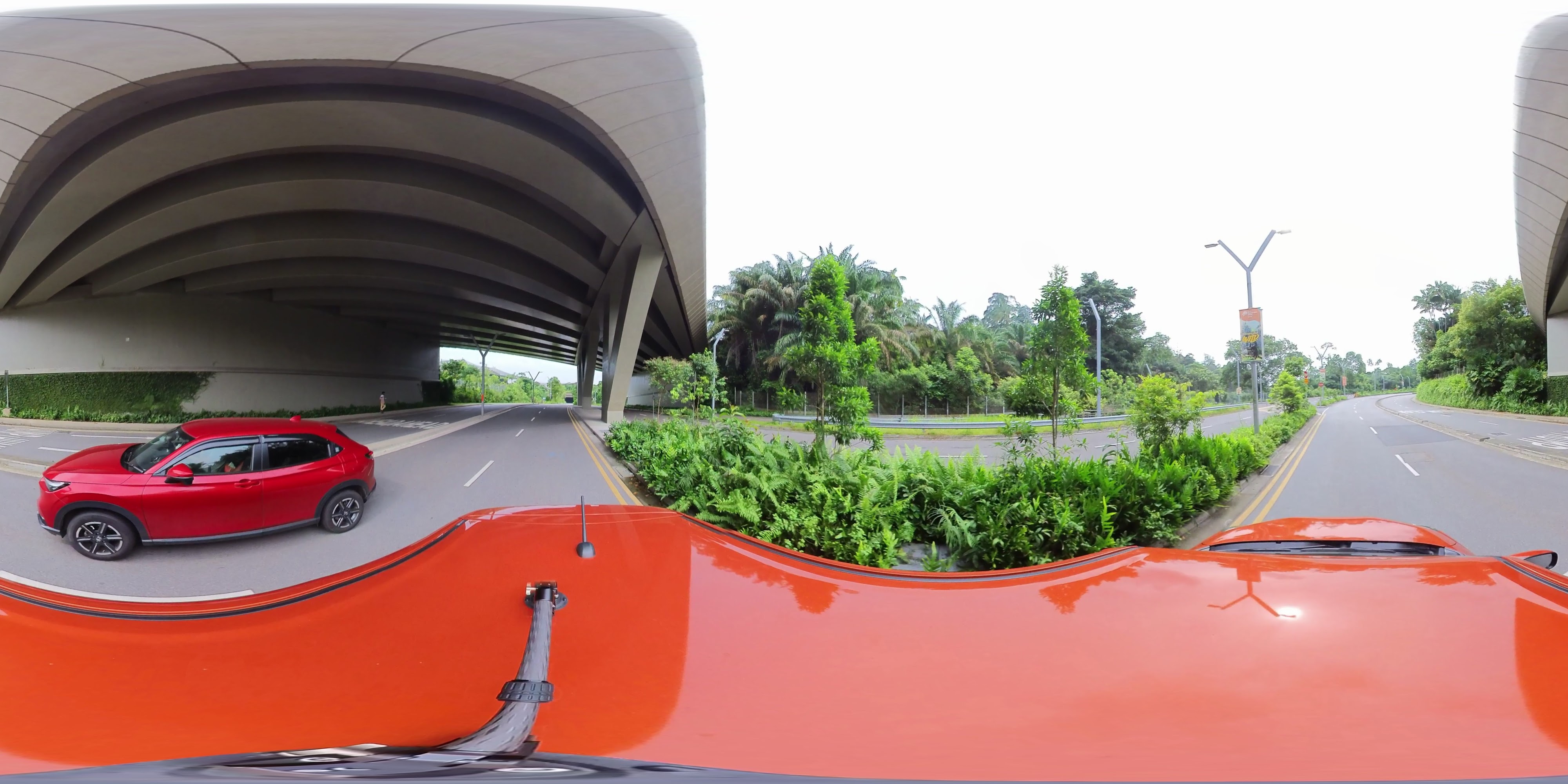 Exotic Driving Through Lush Garden