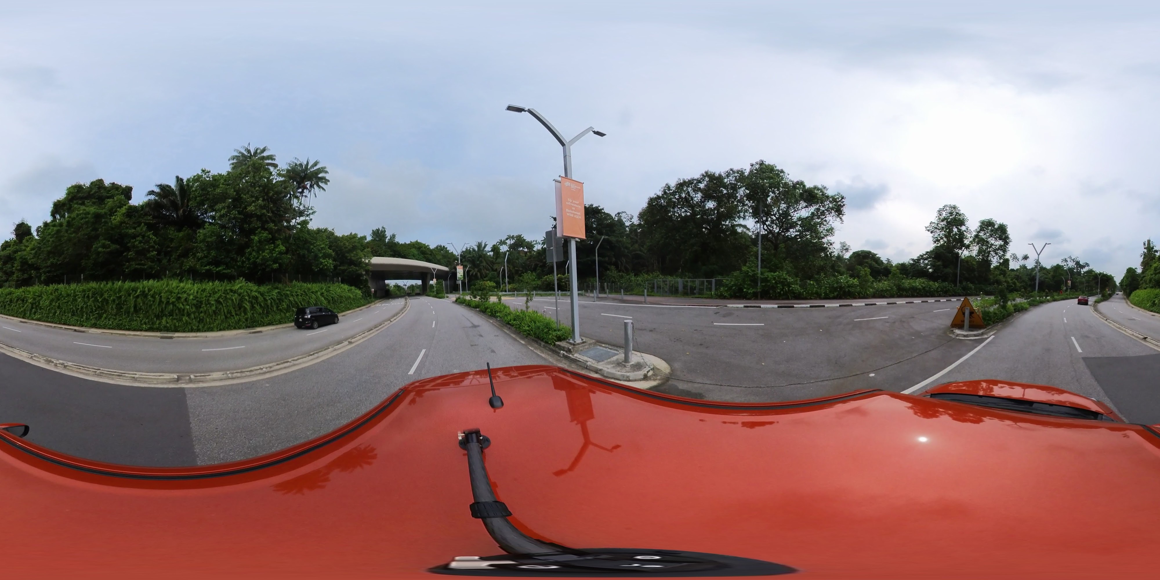 Lush Driveway Towards Entrance