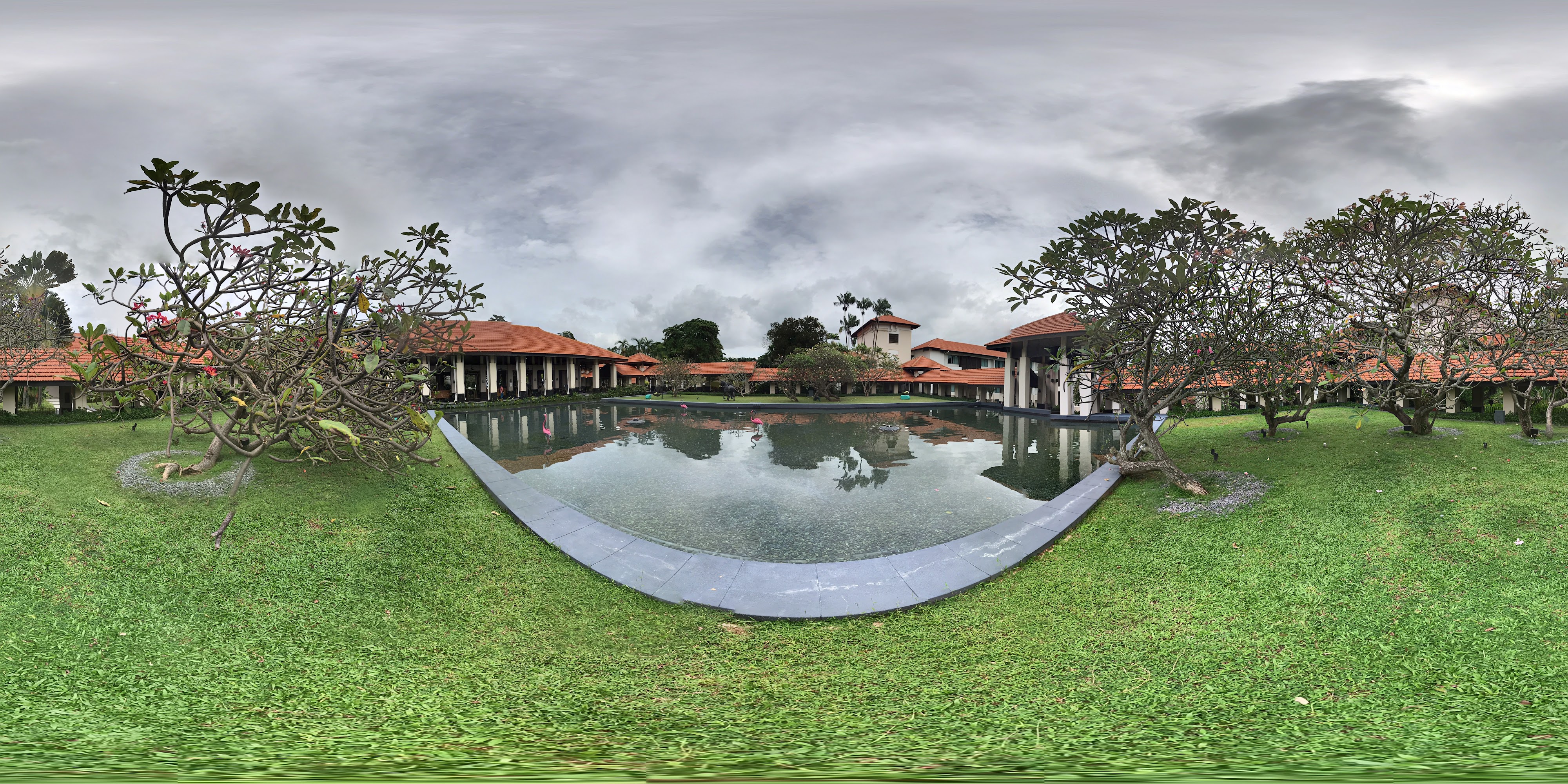 Lush Hotel Courtyard Reflection
