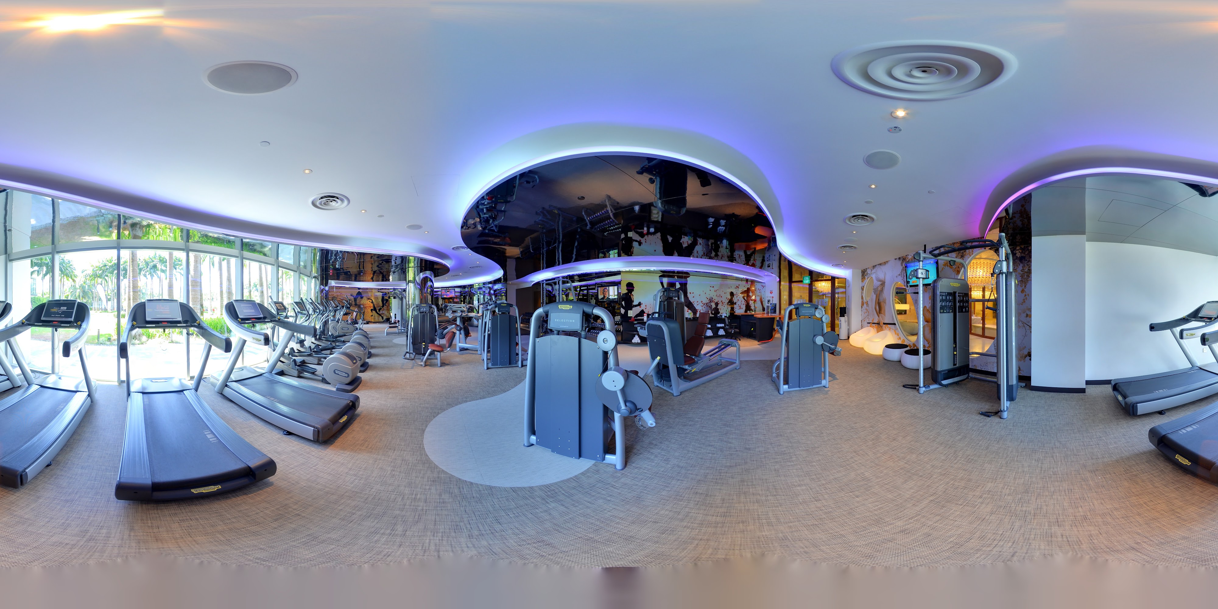 Luxury Gym Equipment Space