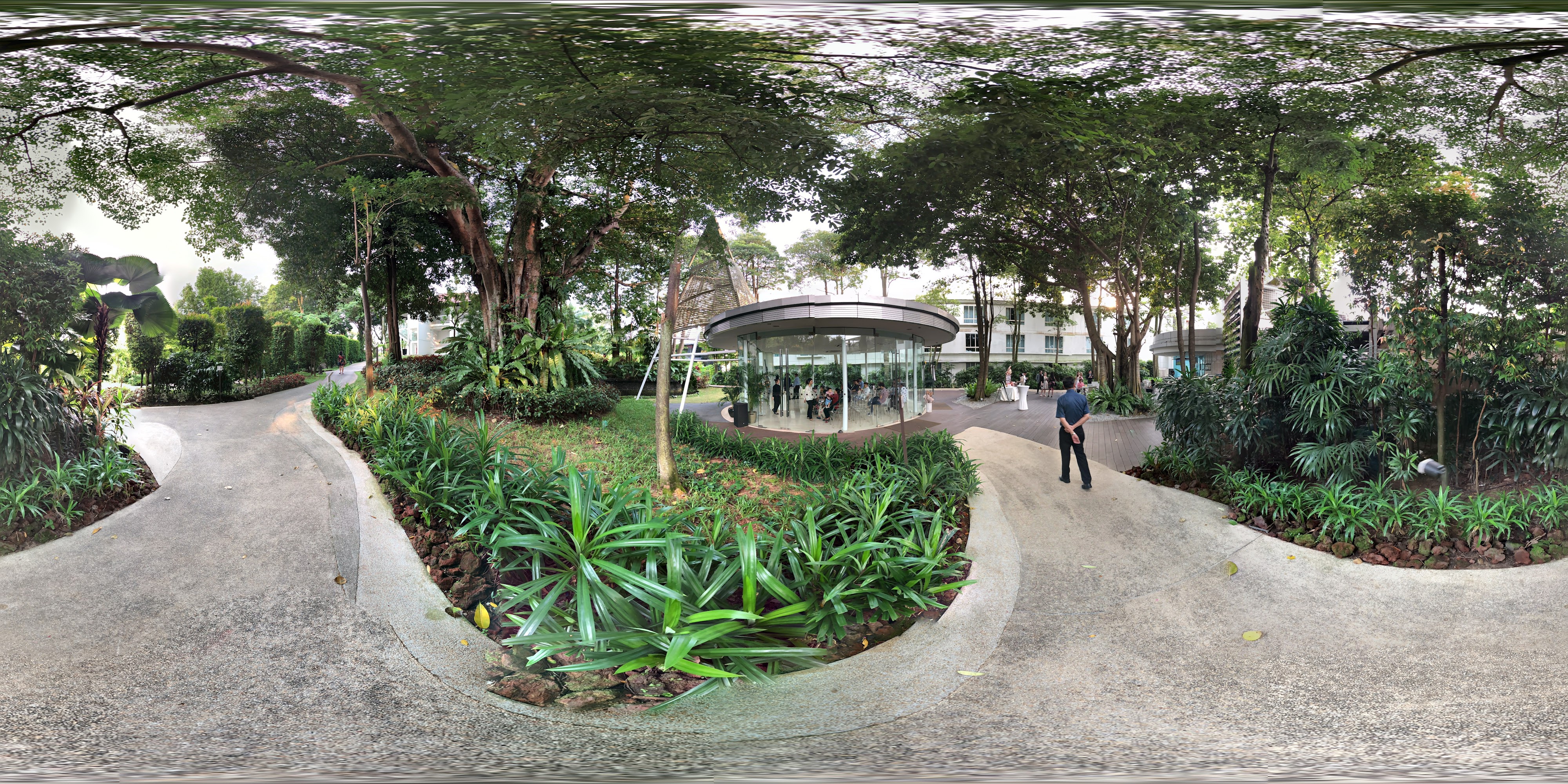 Lush Tranquil Pathway Garden