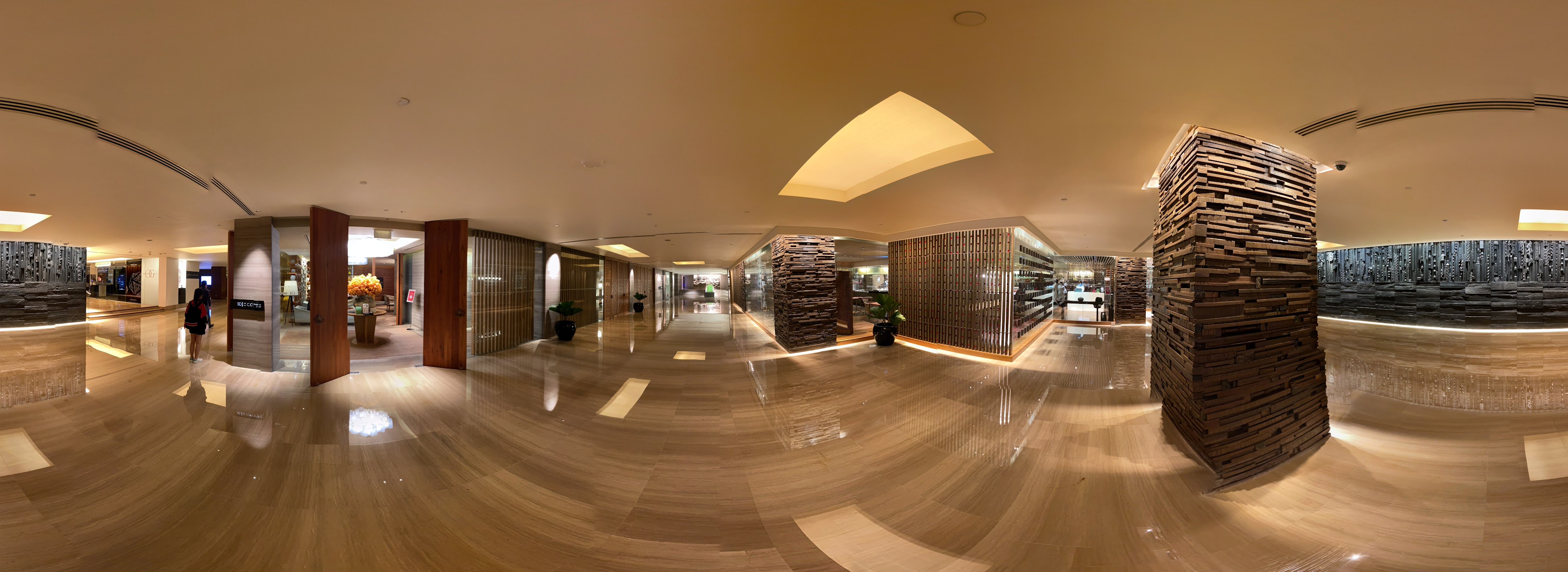 Elegant Lobby Modern Decor