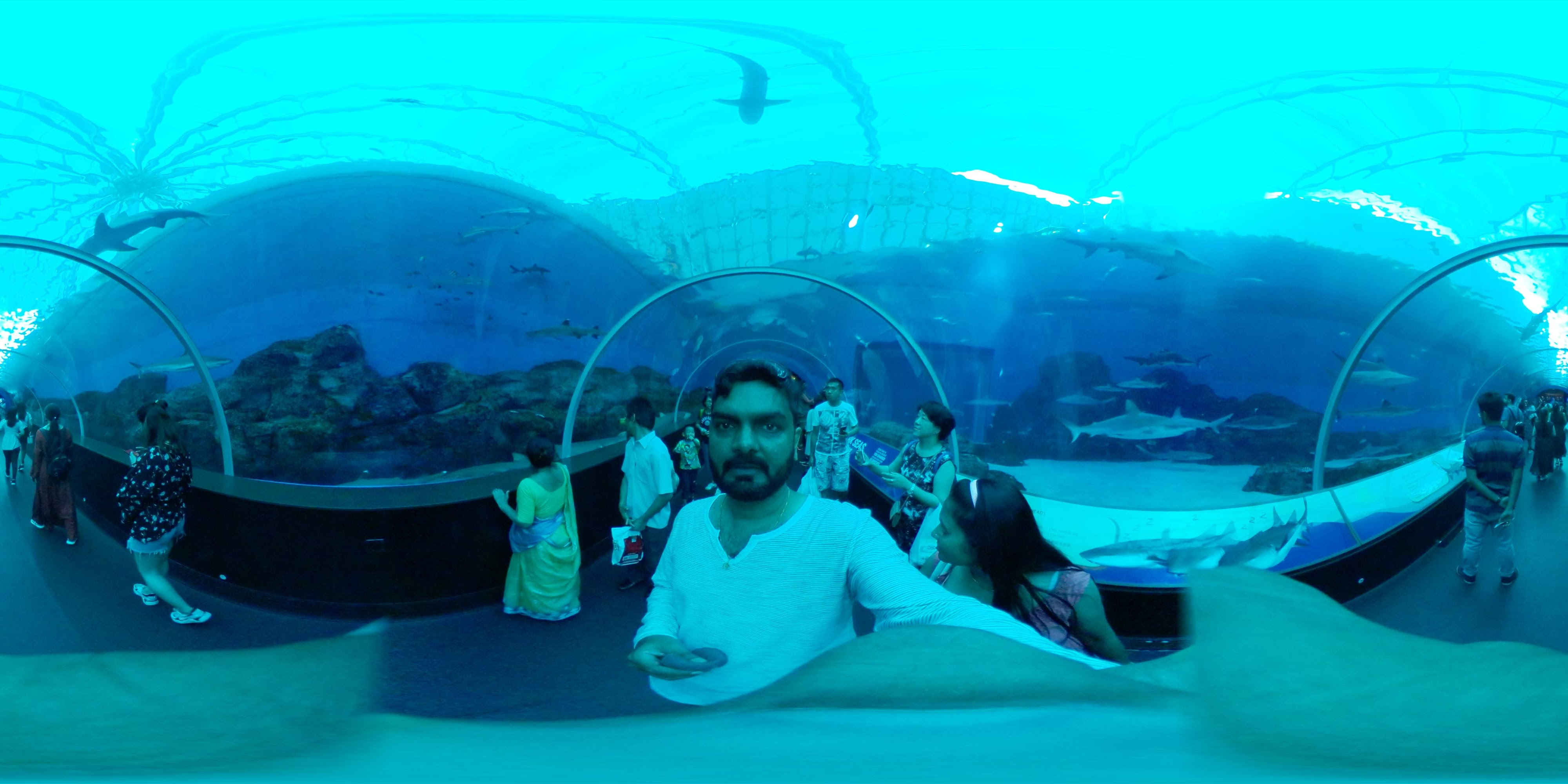 Aquarium with Underwater Tunnel