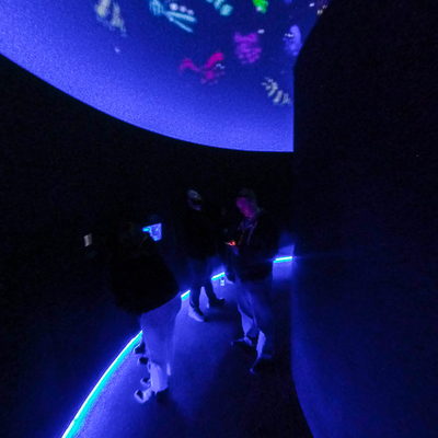 Tim Burton Art Display (Inside)