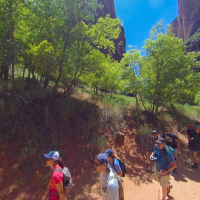 Trail 1 to Bus Stop 6