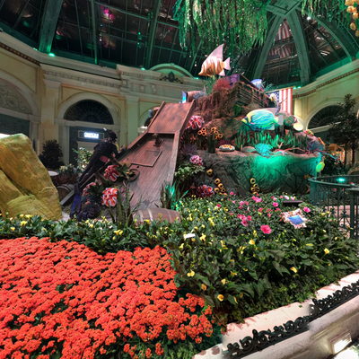 Indoor Botanical Garden