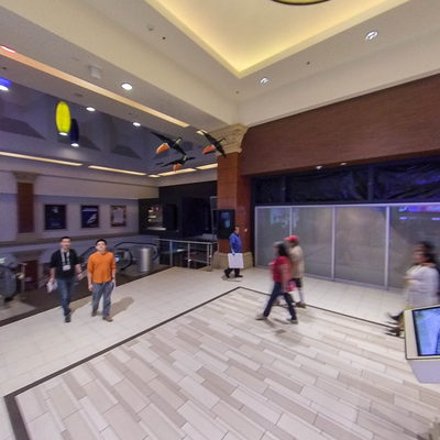 Minus 5 Ice Experience